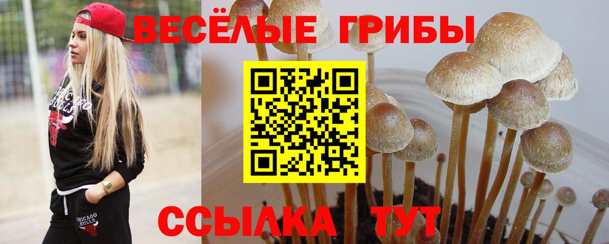 Павловский Посад  Галлюциногенные грибы мицелий  Вход с VPN 