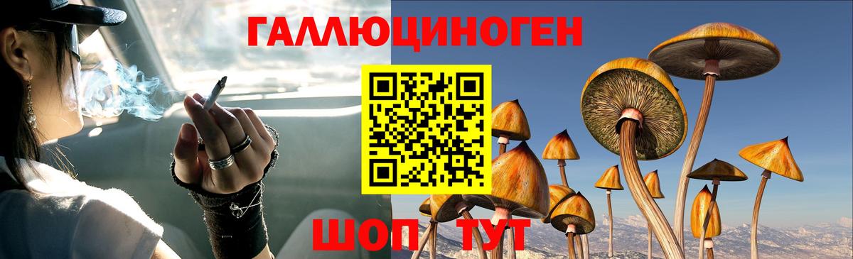 Псилоцибиновые грибы Cubensis Павловский Посад